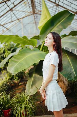 斗罗大陆1在线观看全集免费播放