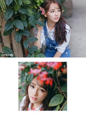 知否知否应是绿肥红瘦全集免费观看