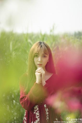 完美世界全集在线观看