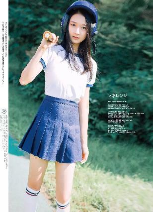 免费观看电视剧全集在线播放高清