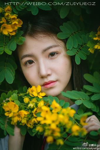 私人在线观看免费高清电视剧