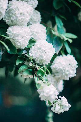 鬼灭之刃无限城篇在线观看免费