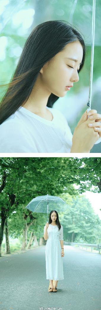 纵有疾风起电视剧免费完整版观看