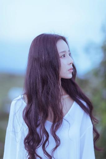 以爱为营电视剧在线观看免费版