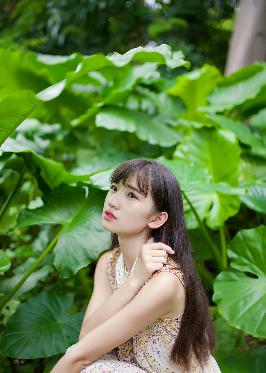 琥珀樱桃电视剧在线观看全集免费