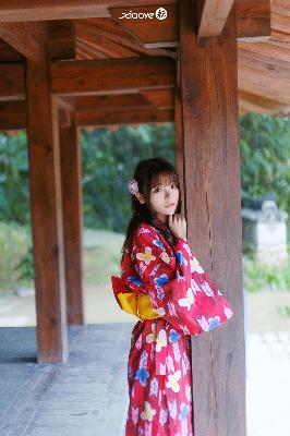 免费观看国语高清电视剧