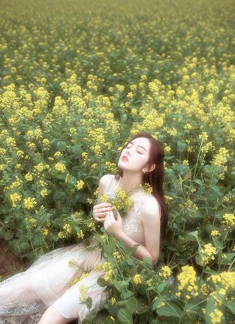 哔哩哔哩网页版