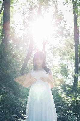 鸡毛飞上天电视剧全集免费