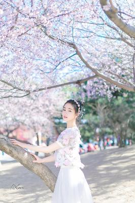 澳门新蔺京开元视频1至32集