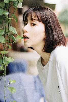 半是蜜糖半是伤免费观看全集完整版