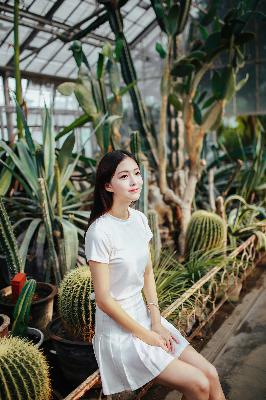 脱轨电视剧免费观看全集在线播放