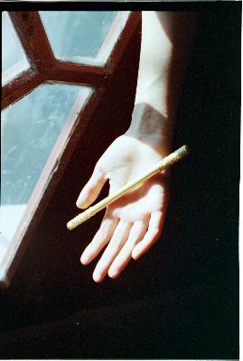 三生三世十里桃花