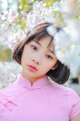 韶华若锦电视剧免费观看