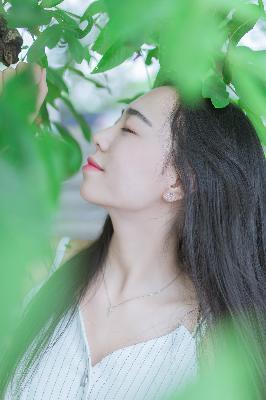 成全看免费观看高清电影大全