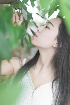 延禧攻略电视剧全集免费完整版