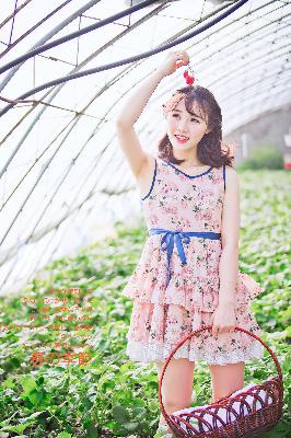 水瓶座今日运势最新