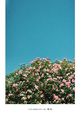 仙逆动漫在线观看完整版全集