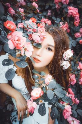 再见怦然心动电视剧免费观看