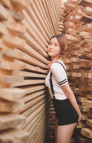 美国大片免费观看2023年上映