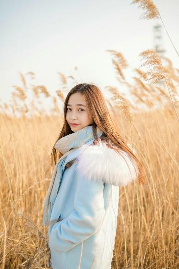 成品网站1688在线应用评价