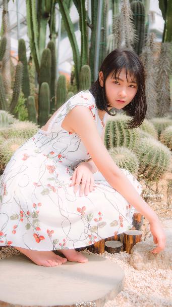 锦衣之下电视剧全集免费观看