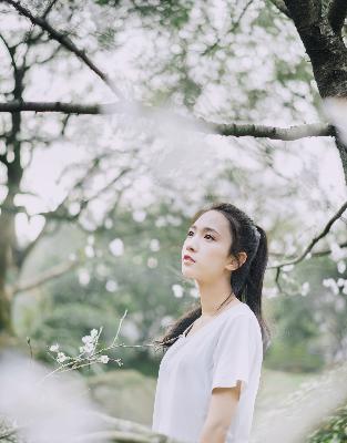 叶凡唐若雪小说最新章节