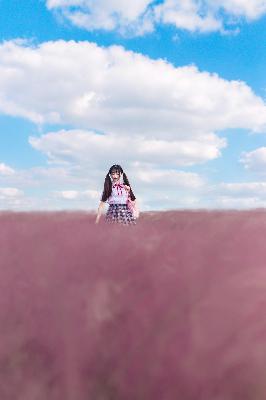 长河落日电视剧免费观看完整版高清