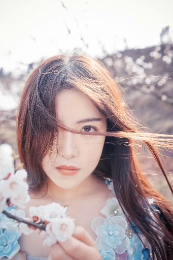 西游记86版全集