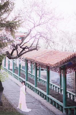 小欢喜电视剧免费观看全集