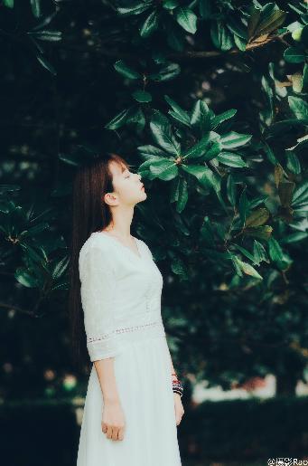 好姑娘17花房姑娘电视剧中文