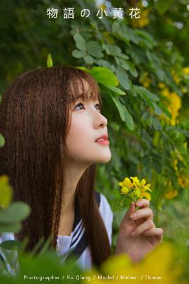 喜羊羊与灰太狼