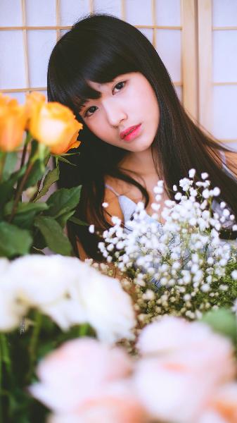 办公室3在线观看免费版电视剧大全