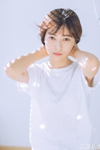 扫黑风暴电视剧在线观看免费完整版