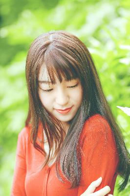 办公室3在线观看免费版电视剧大全