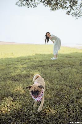 士兵突击电视剧全集免费观看