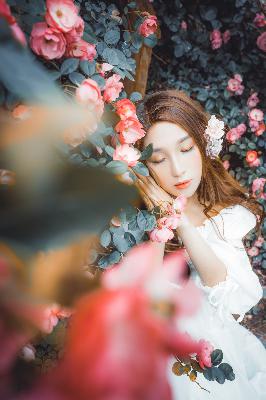 国产剧免费观看完整版