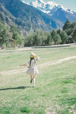 冰雪尖刀连 电视剧 在线观看