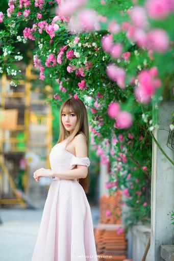 遮天在线观看视频完整版免费