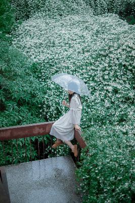 在线观看视频在线观看电视剧