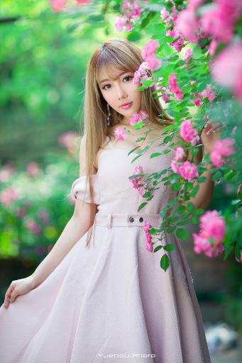 喜羊羊与灰太狼