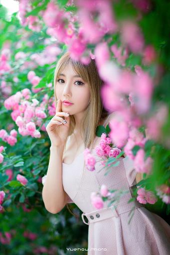 炽道电视剧全集免费观看