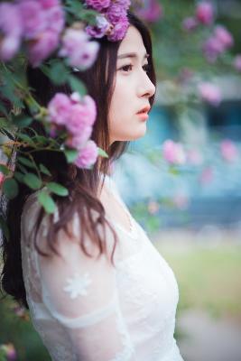 书卷一梦电视剧免费观看