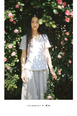 野兽们的战争在线观看免费版