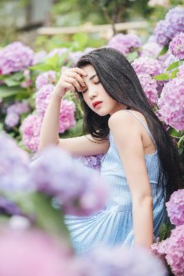 桔子在线观看免费高清电视剧完整版